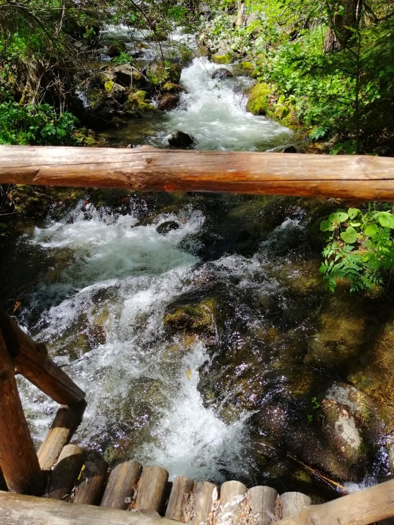 Природа от https://inthebeniskitchen.com/