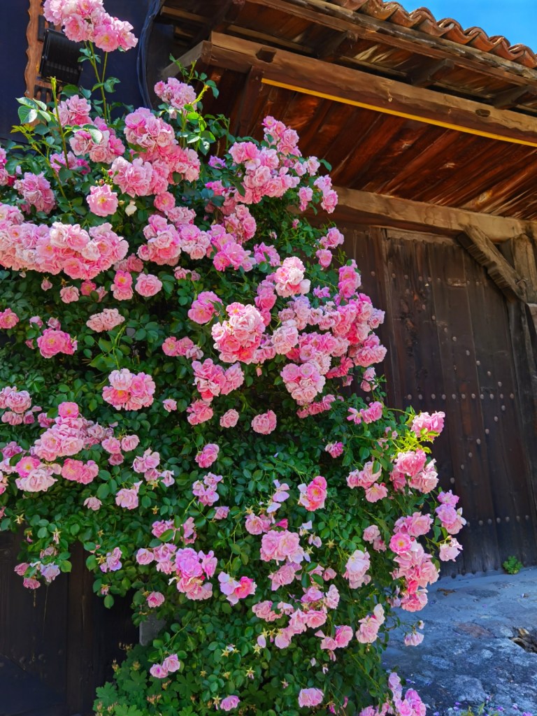 Разходка до Корпивщица и язовир Душанци от https://inthebeniskitchen.com/