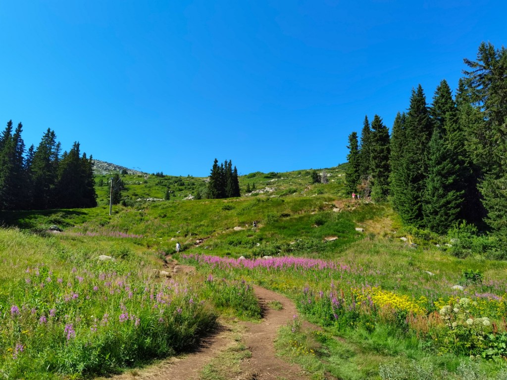 Витоша и Черни връх от https://inthebeniskitchen.com/