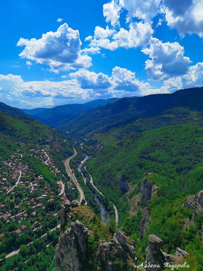 Лакатник от https://inthebeniskitchen.com/