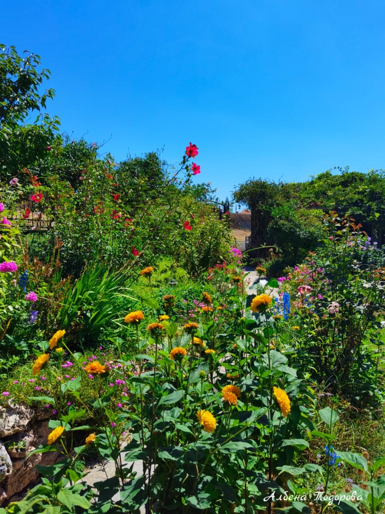 Димата ферма, село Горно поле, Маджарово от https://inthebeniskitchen.com/