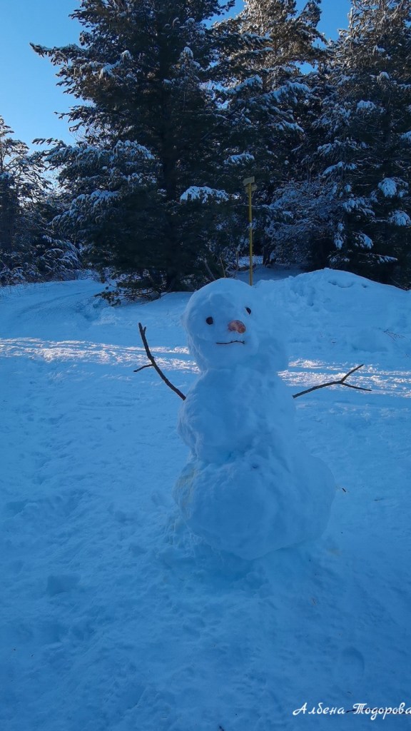 Снежна Витоша от https://inthebeniskitchen.com/